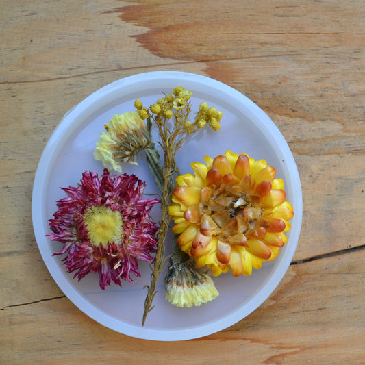 Molde de silicona circular 8x8 cms