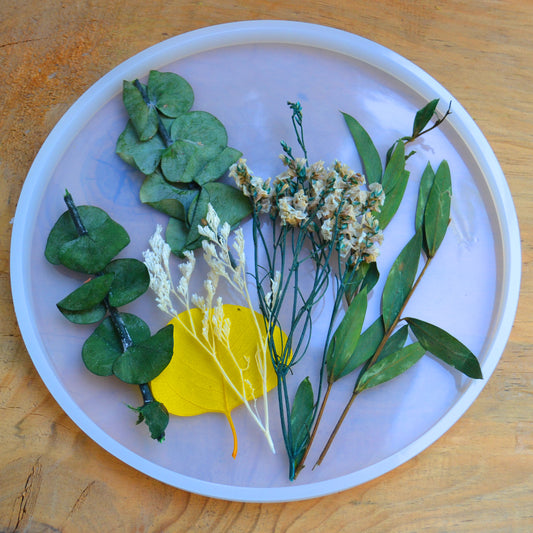 molde silicona circular 19x19 cms